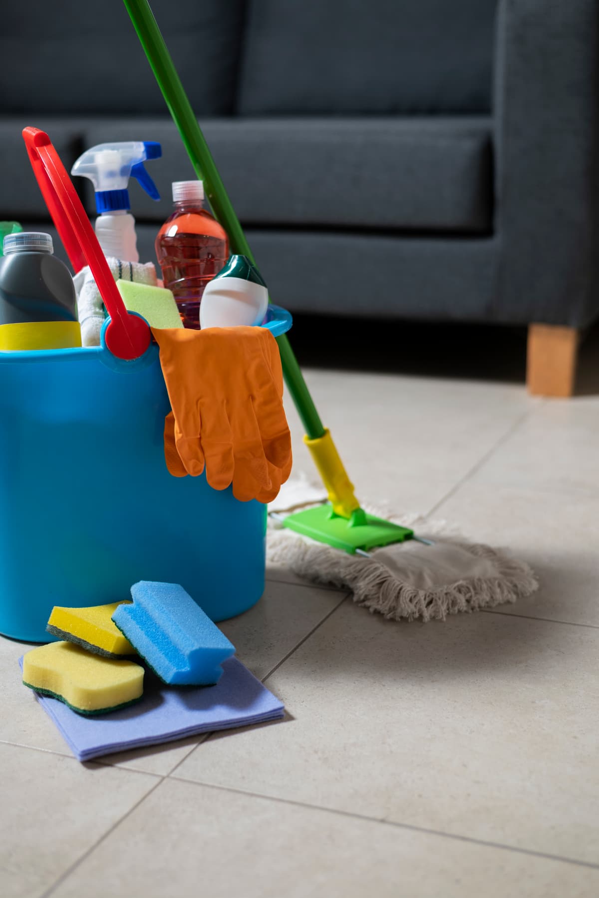 Professional Cleaning Services